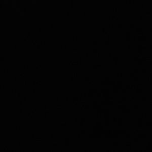 Meet your Posher, Ace